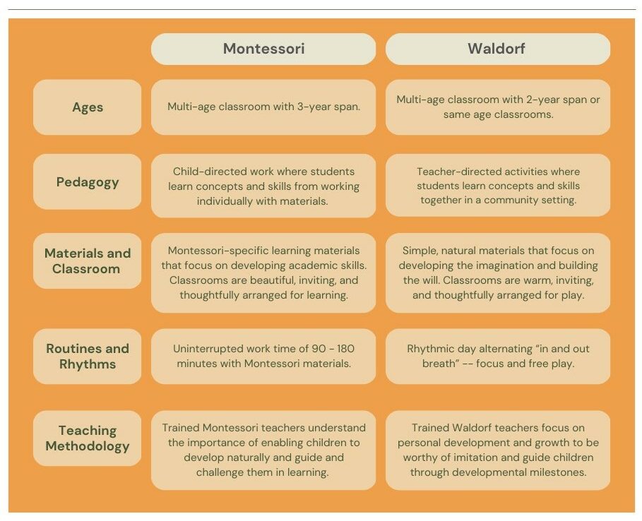 MONTESSORI VS WALDORF 